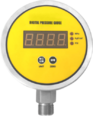 數位壓力錶  DPG-S282(ED)